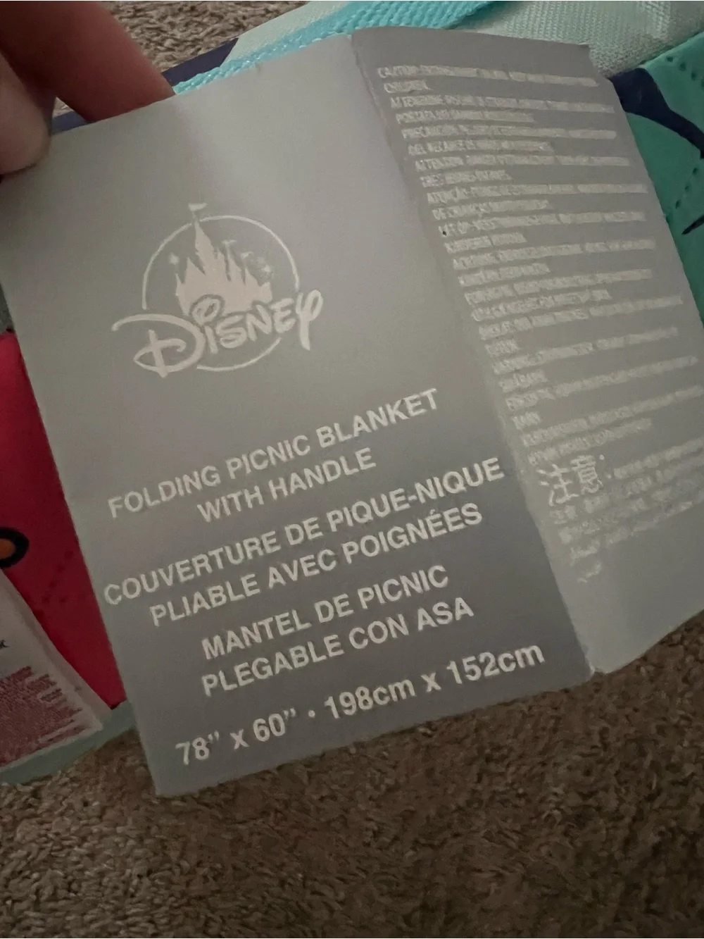 Disney foldable picnic